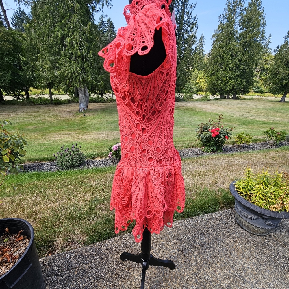 The Sang Elegant Salmon Or Orange Lace Dress Sz M NWT See Pictures For Details - Picture 4 of 12